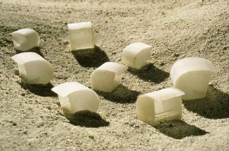 vacant synthetic shells on the beach