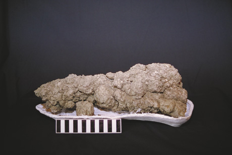 coprolite street