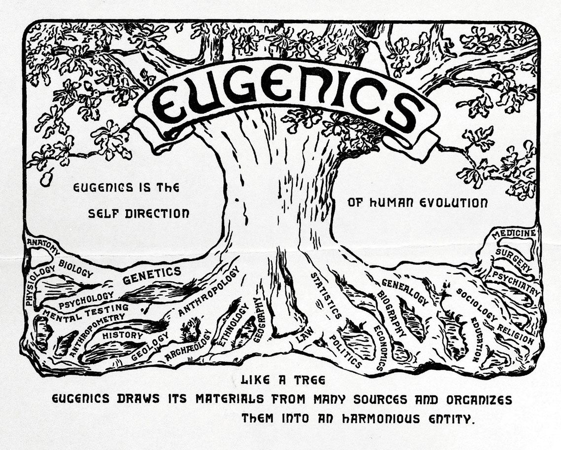 Eugenics promotional card, depicting a tree of science, with everything branching off from the tree of eugenics.