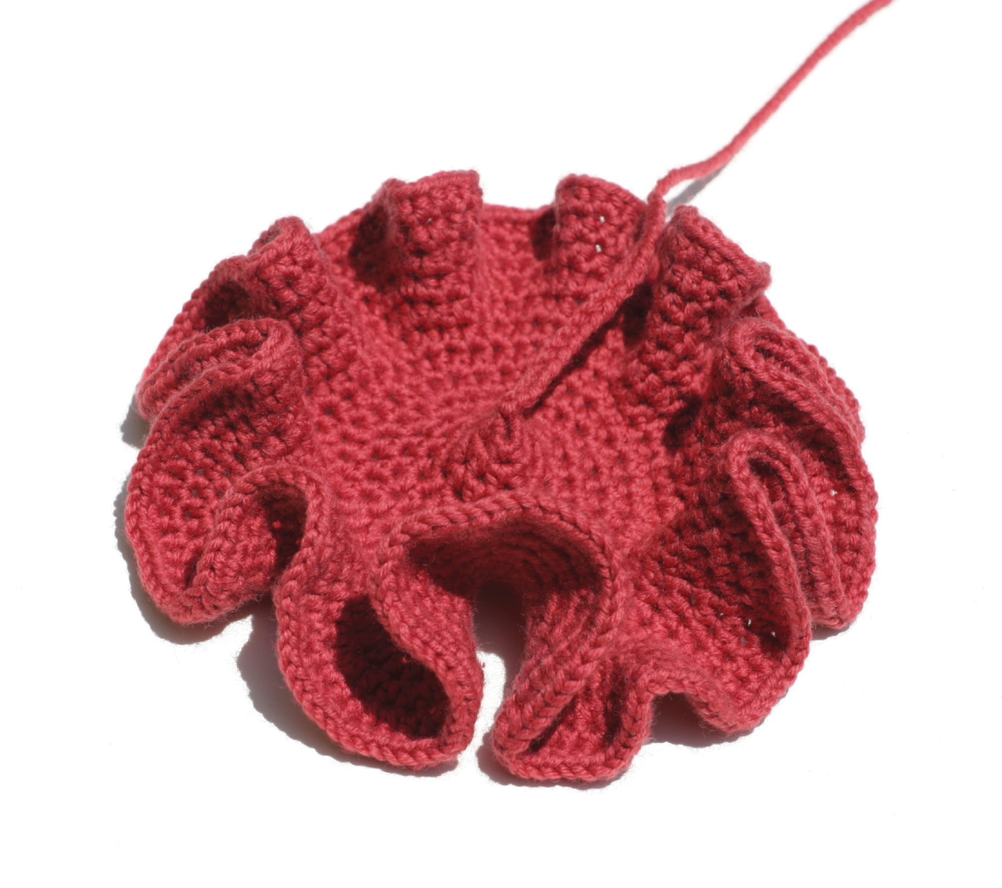 A hyperbolic form crocheted by Daina Taimina.