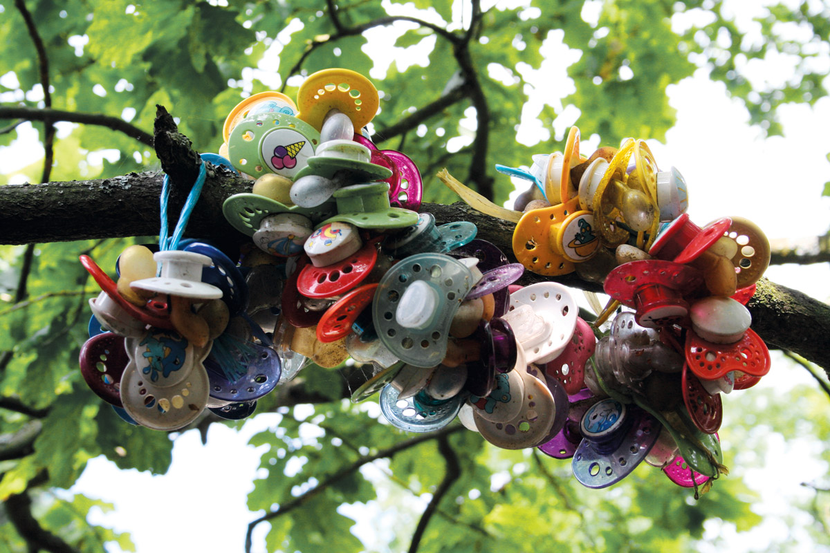 A detail photograph of a Swedish pacifier tree.