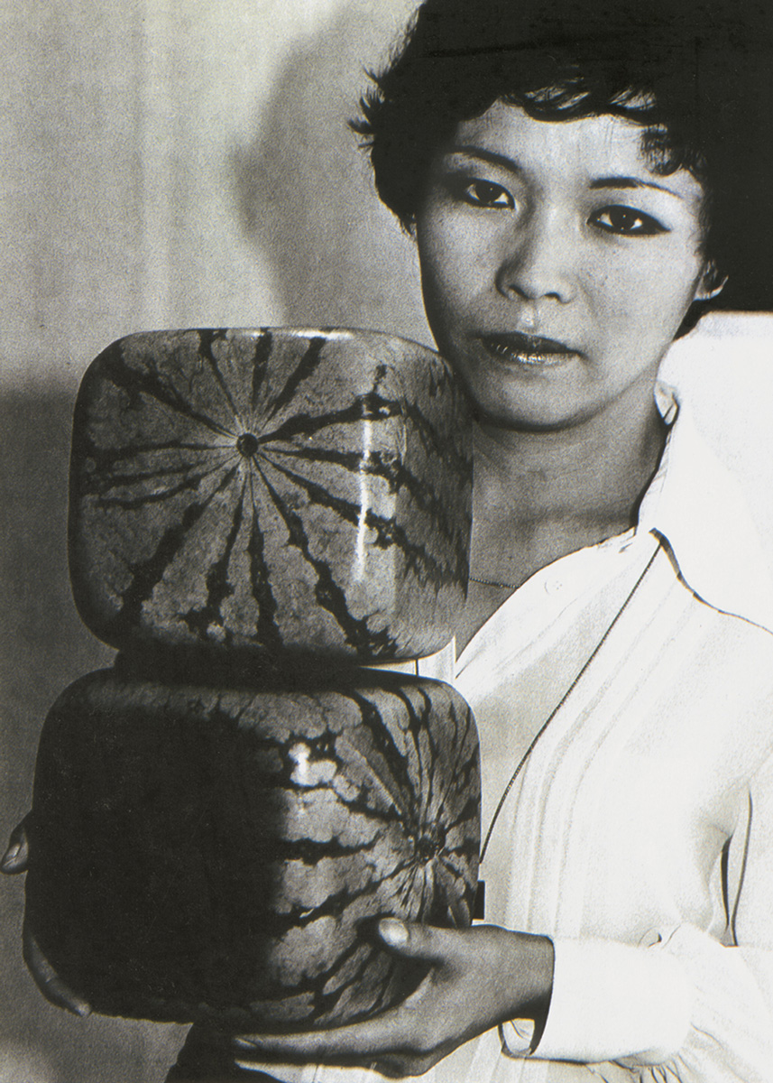 A photograph of a woman holding two square watermelons, nineteen seventy eight.