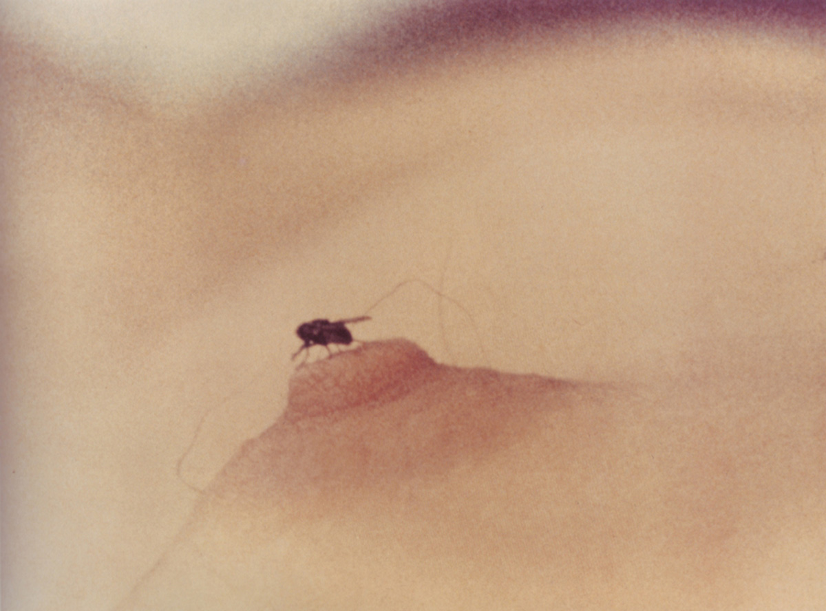 A still from artist Yoko Ono’s nineteen seventy one short film, “Fly.”