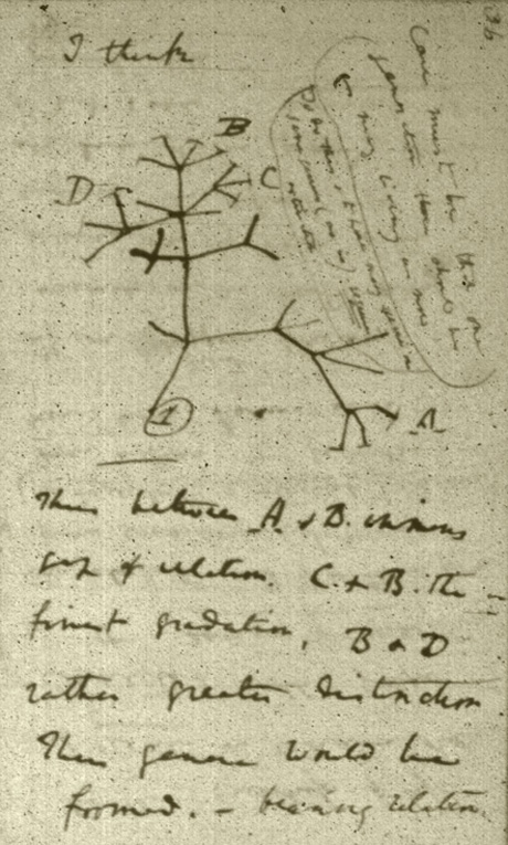 Embryology And Evolution. from embryology are fully