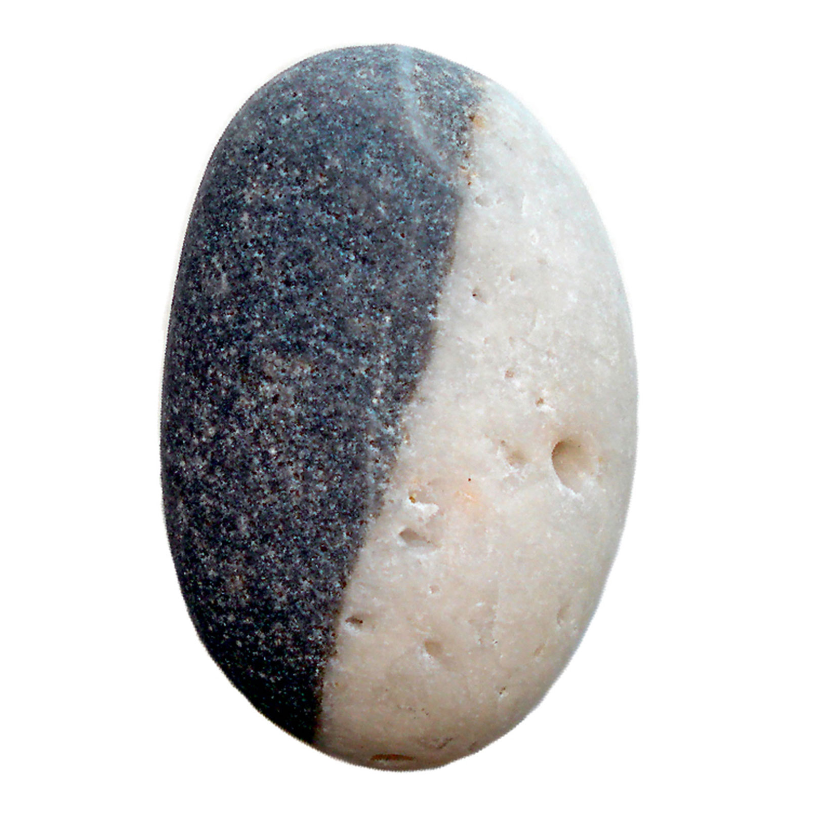 A photograph of a rock which resembles a black-and-white cookie.