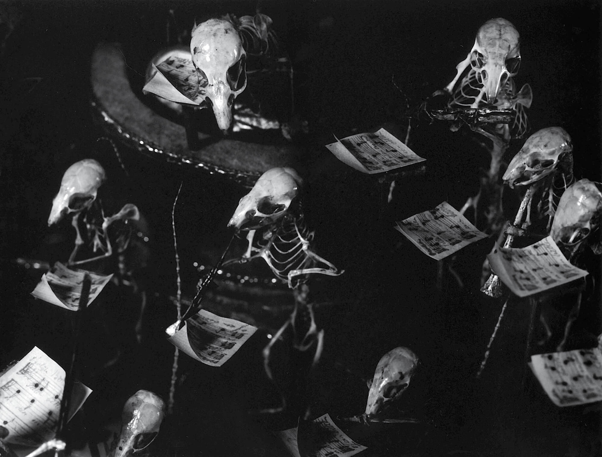A photograph by Lena Herzog of fifty mice skeletons arrayed as a performing orchestra and attentive audience.