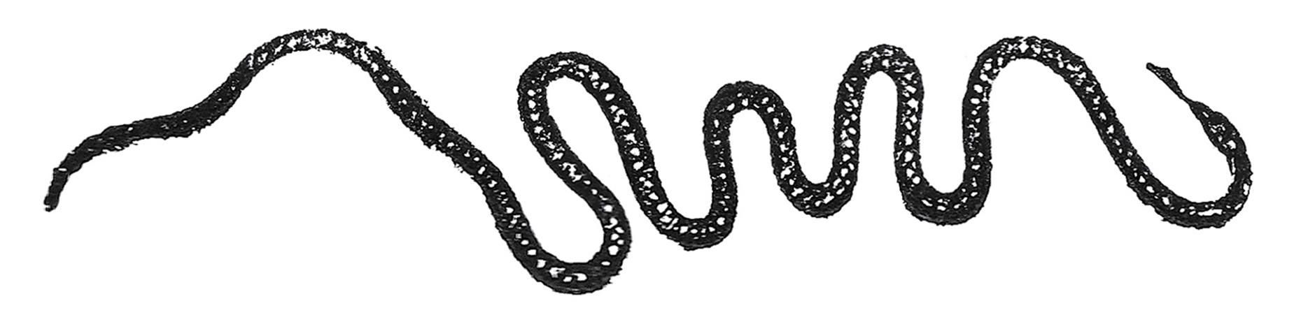 The squiggle from the Houssiaux edition of 1855, where it has been rotated one hundred and eighty degrees and turned into a serpent.