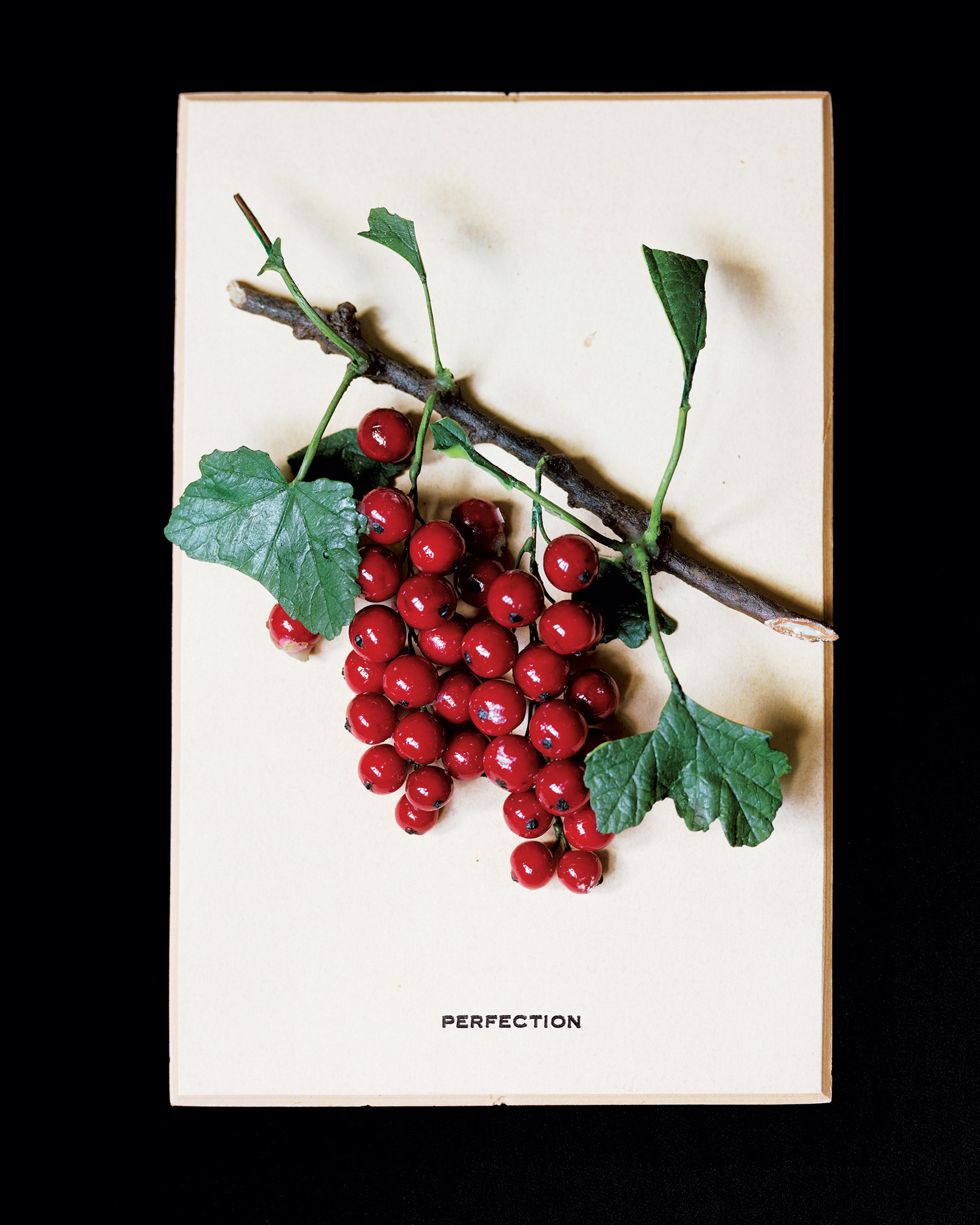 A two thousand and nine wax agricultural model of berries on a branch titled “Perfection.”