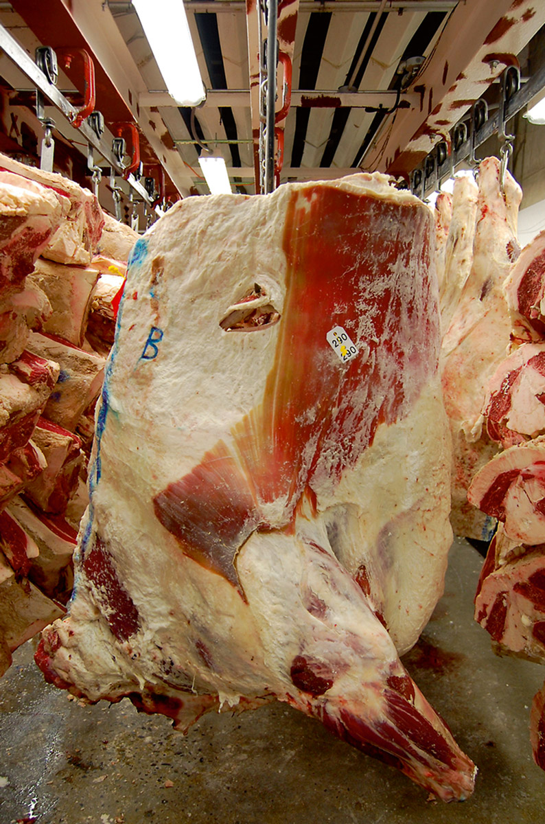 A photograph of the meat locker at Master Purveyors, New York City.