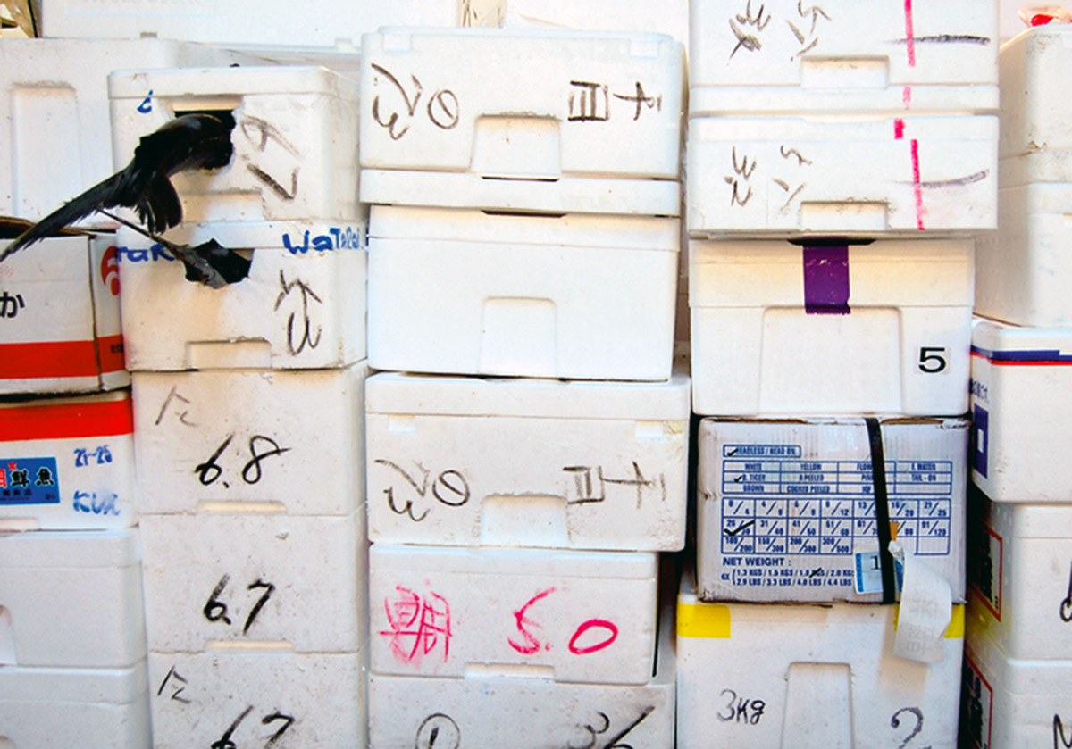 A photograph of Sushi coffins at Tsukiji fish market in Tokyo.