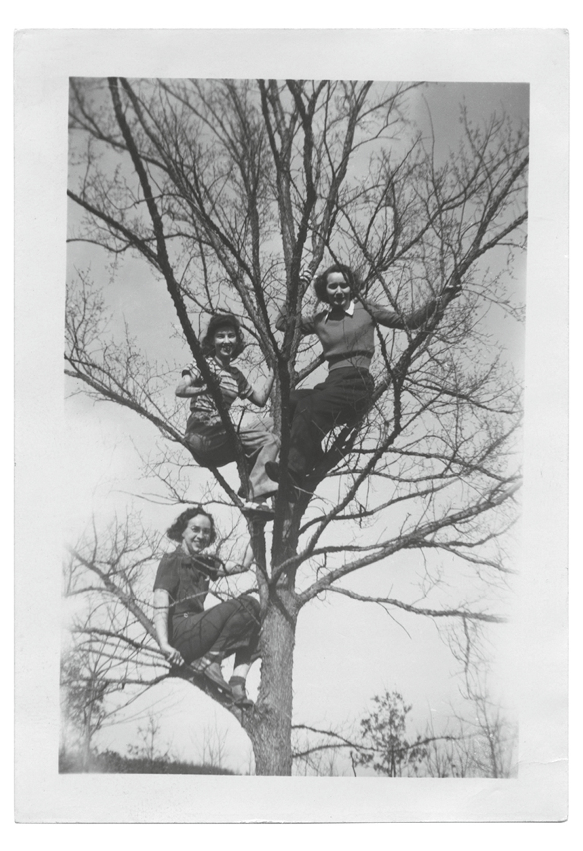 A photograph of three women sitting in a tree on various branches.