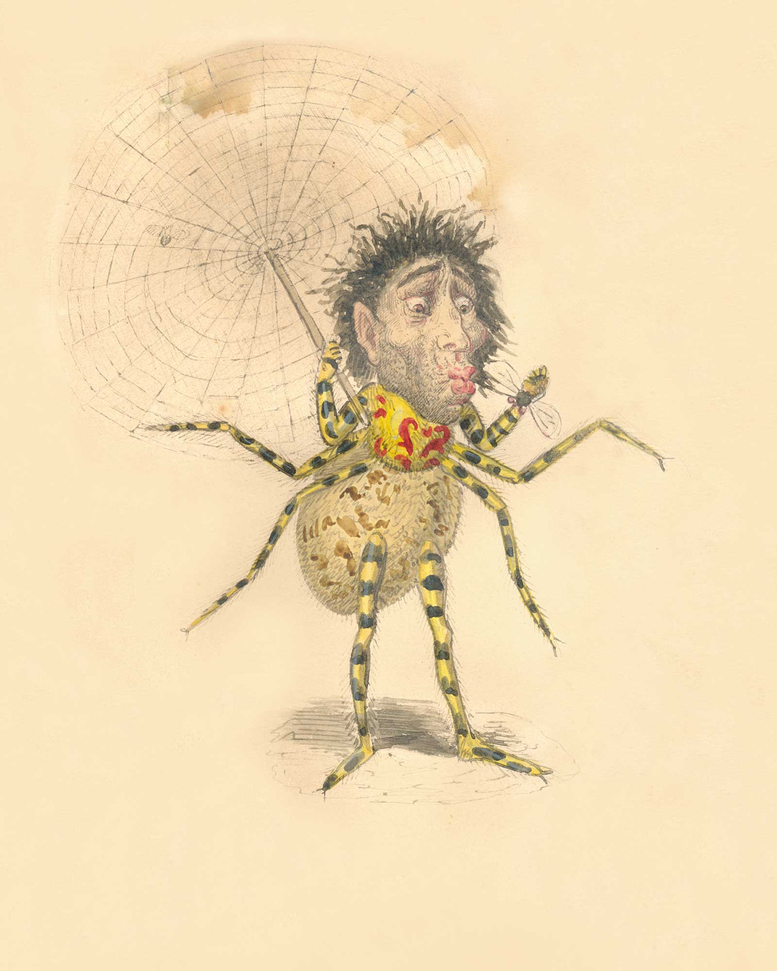 Charles Briton’s illustrated design of a spider costume, created for the Mistick Krewe of Comus for the eighteen seventy-three Mardi Gras parade in New Orleans. Organized in eighteen fifty-six, Comus was the first of the krewes, or secret societies, that marched in the annual parades held in the city during the days leading up to the beginning of Lenten abstinence. Briton’s costumes were created to illustrate the theme of the organization’s procession that year: “The Missing Links to Darwin’s Origin of Species.” Featuring fantastical representations of a wide range of fauna and flora, Briton’s designs for the conservative and predominantly Anglo-American Comus krewe were intended to mock both the new theories of evolution and the Reconstruction-era politicians of the day.