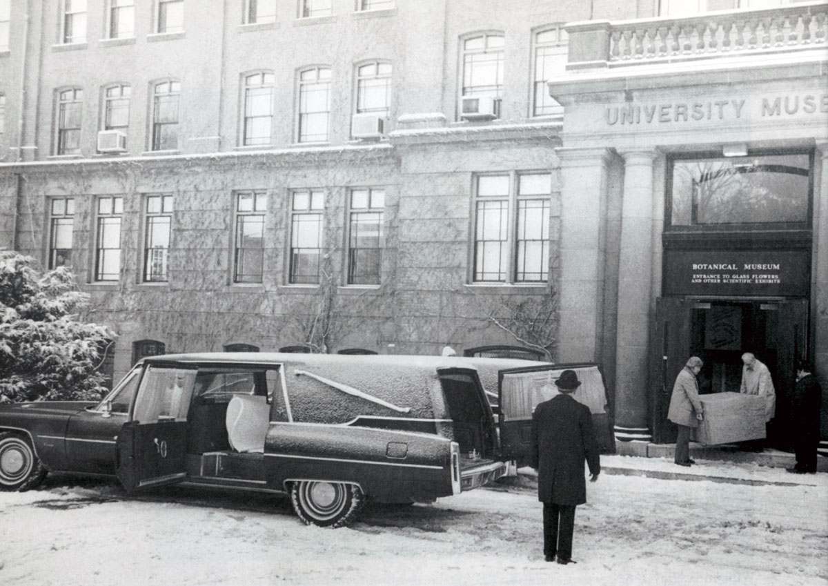 A nineteen seventy-six photograph of the packed glass flowers being placed in hearses for a trip to New York.