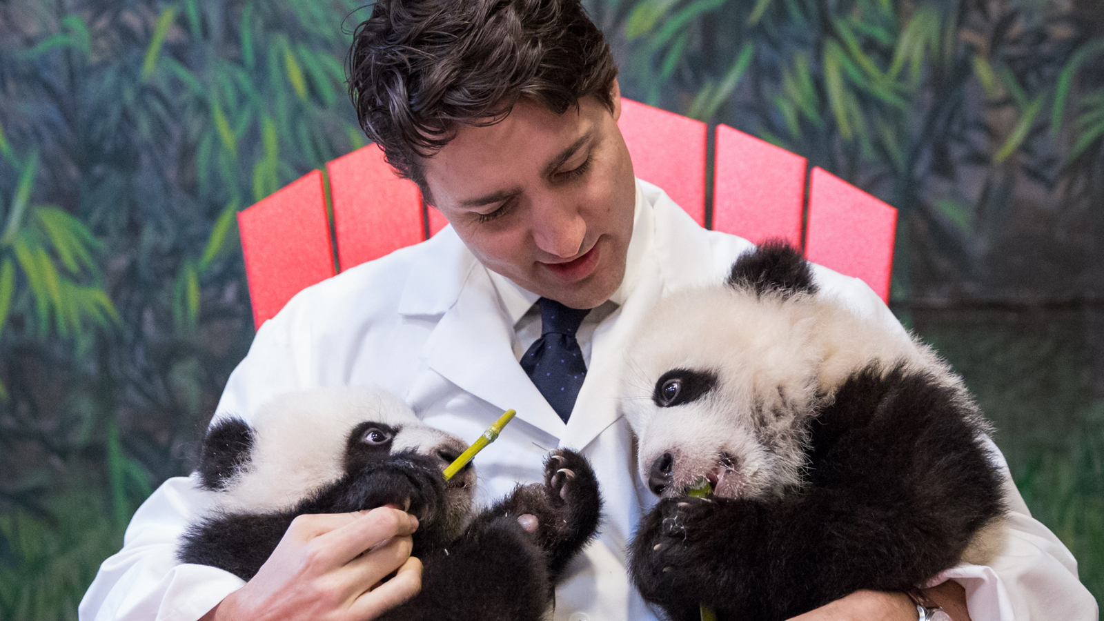 A two thousand and sixteen photograph of Canadian prime minister Justin Trudeau holding Toronto Zoo’s panda cubs Jia Panpan and Jia Yueyue.