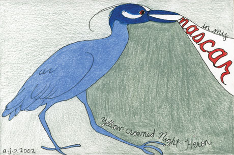 Birds of North America Sing Hip-Hop and Sometimes Pause for Reflection