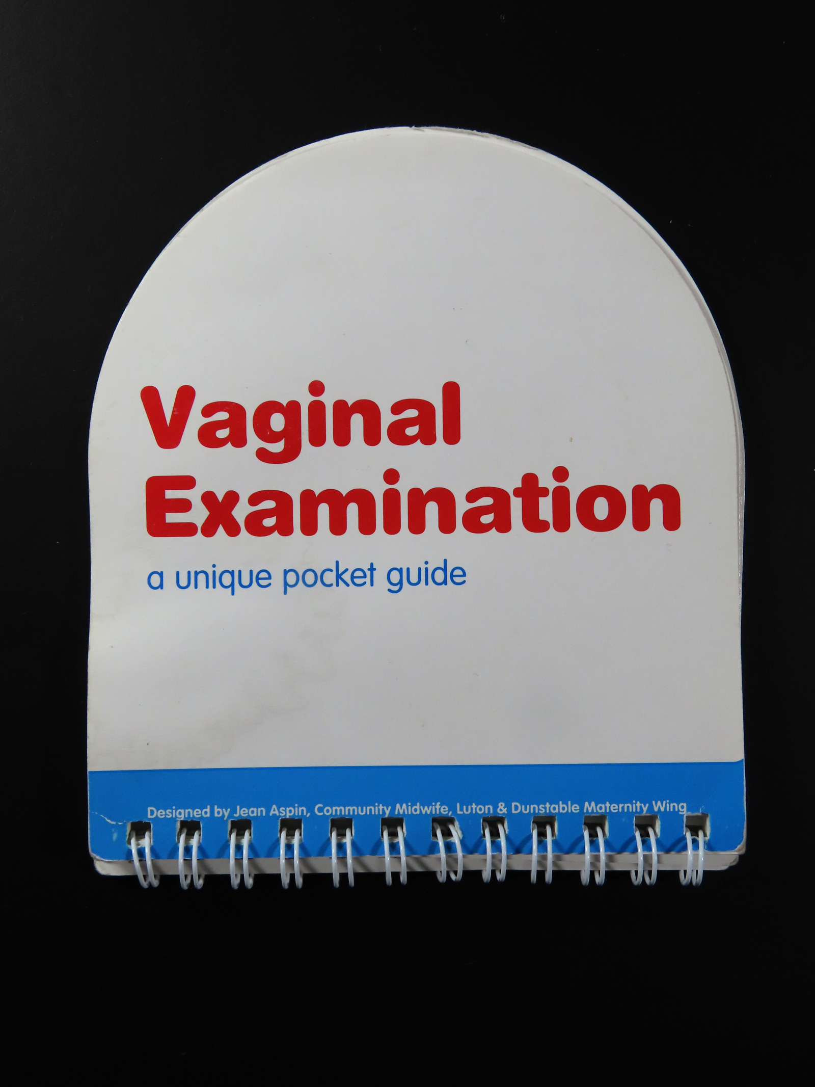 Cover of Jean Aspin’s “Vaginal Examination: A Unique Pocket Guide”