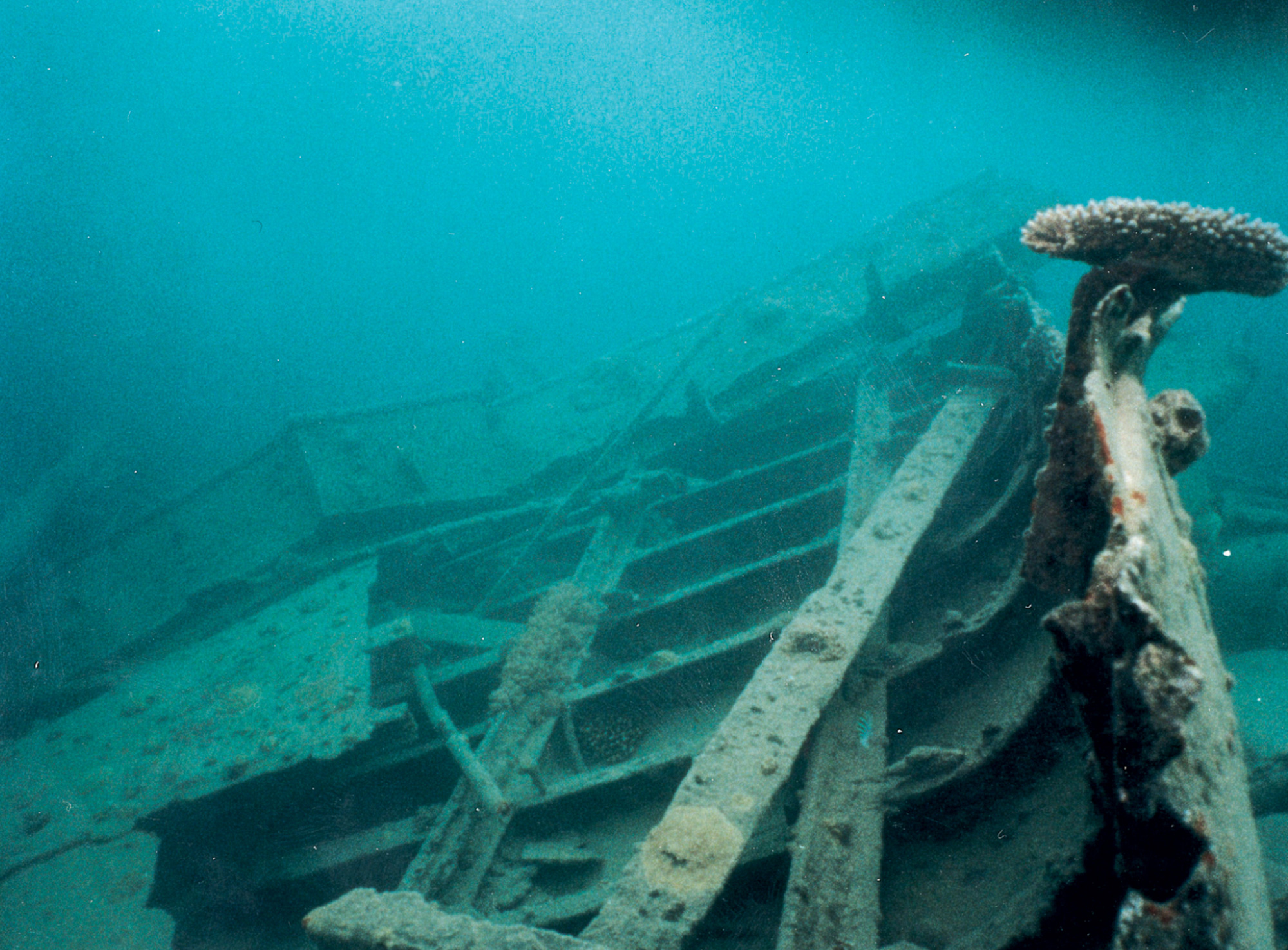 An underwater photograph of Million Dollar Point in Espírito Santo.