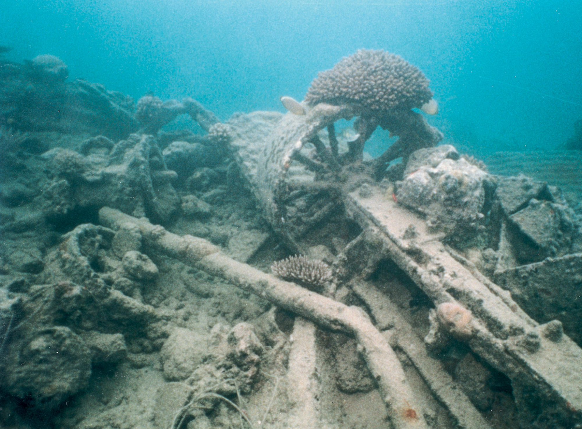 An underwater photograph of Million Dollar Point in Espírito Santo.