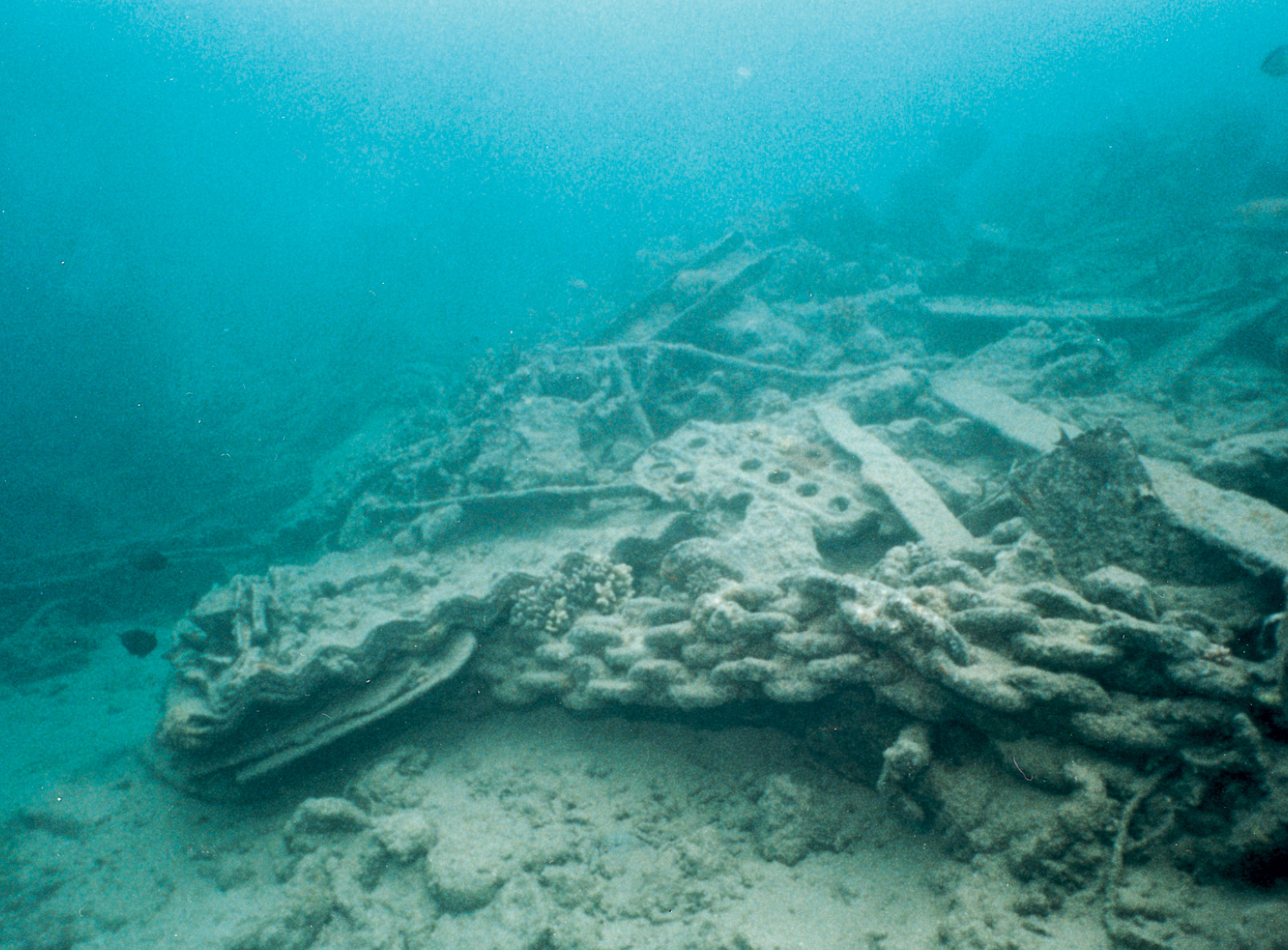 An underwater photograph of Million Dollar Point in Espírito Santo.