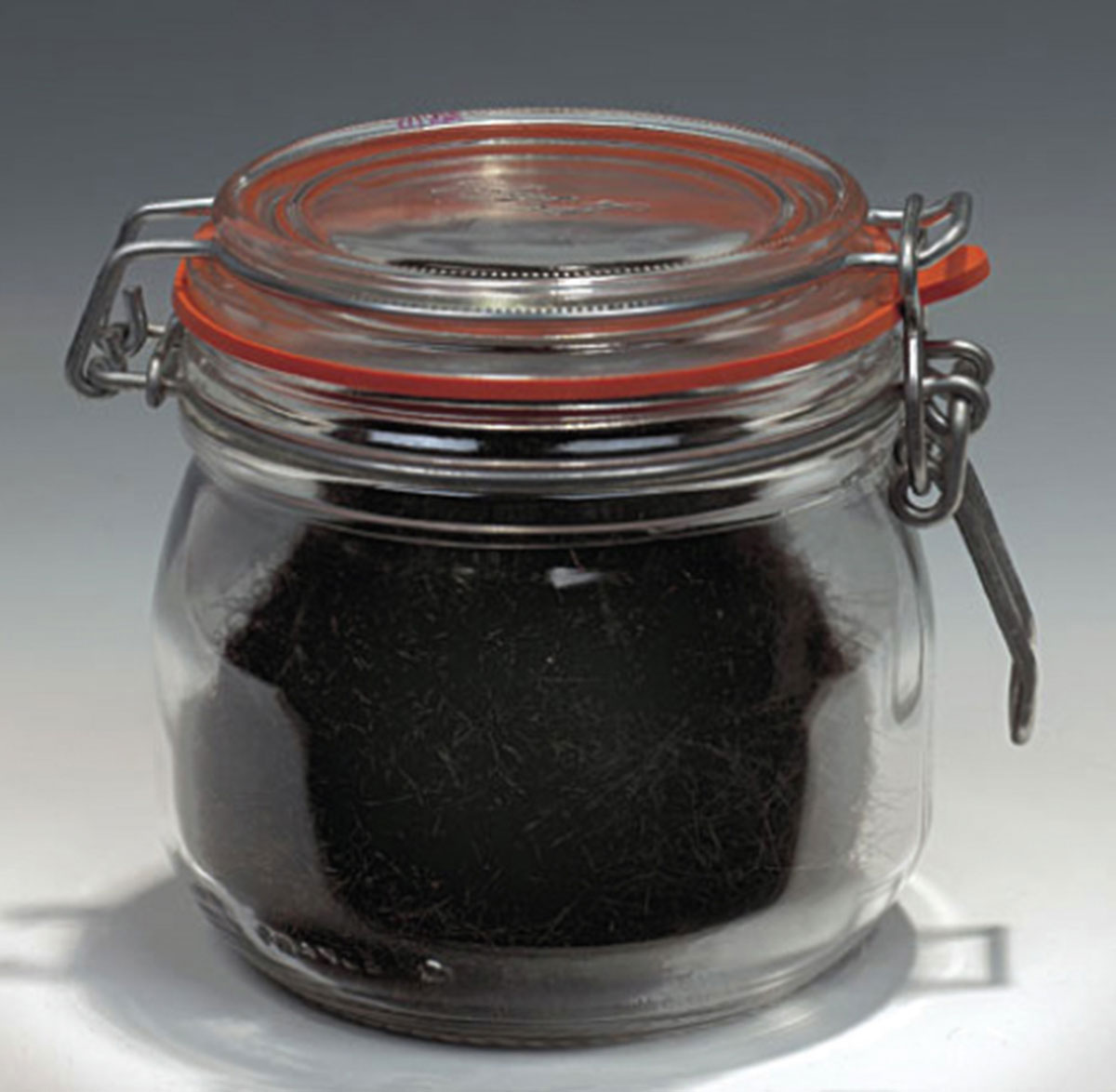 A photograph of a jar containing locks of Elvis’s hair for auction.