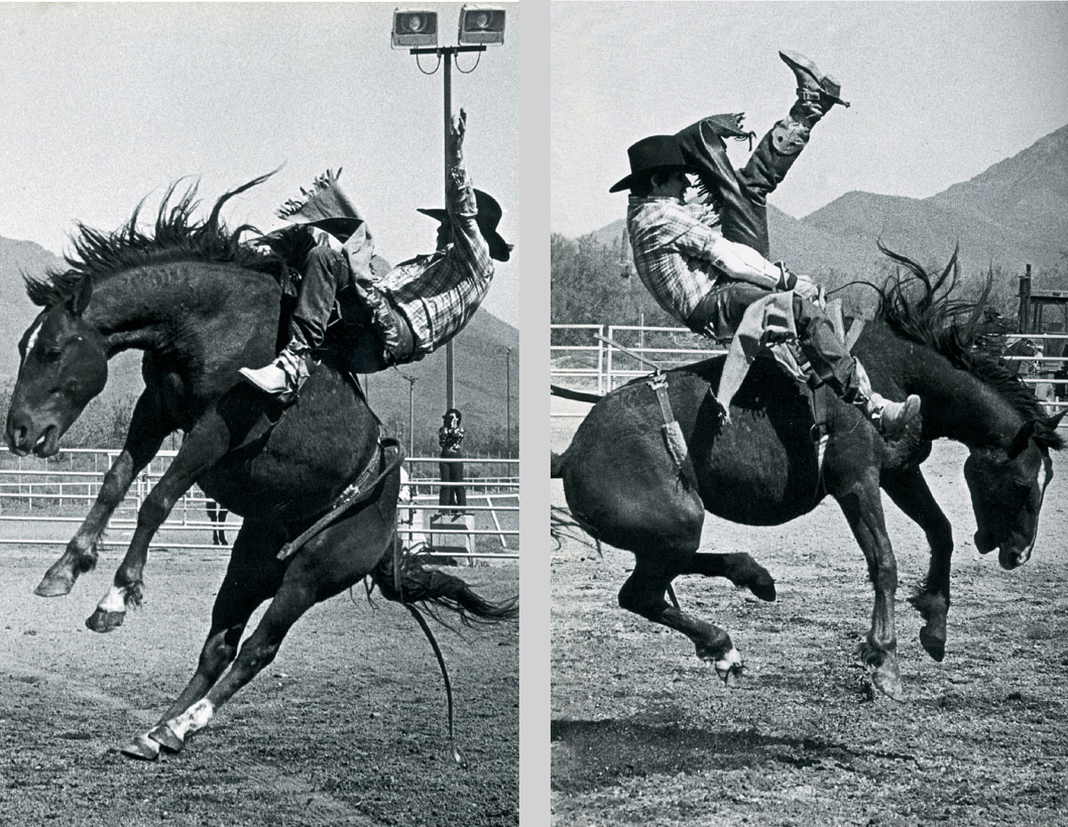 Two photographs of the horse named “Soldier” bucking Dennis Mann, 1983.