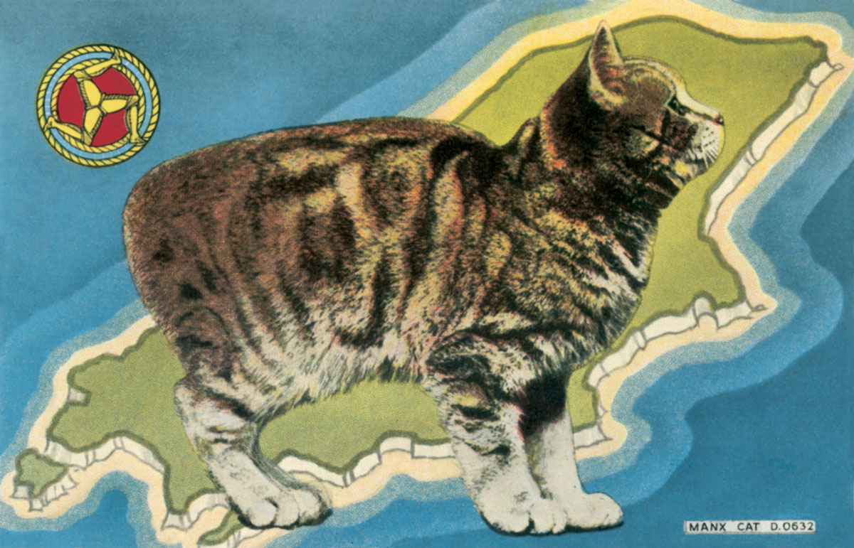 Postcard from the Isle of Man depicting a cat standing on the map of the Isle of Man, with a triskelion symbol in the corner.