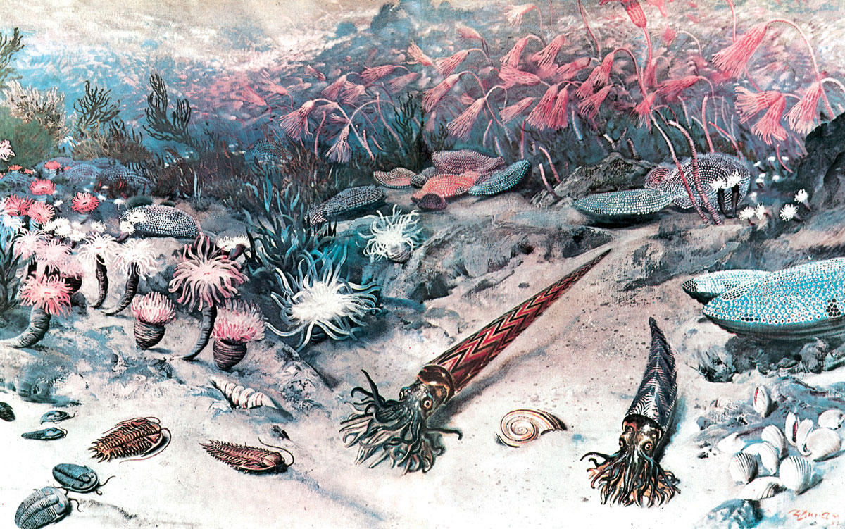 Artist Zdenek Burian's illustration of a prehistoric seascape.