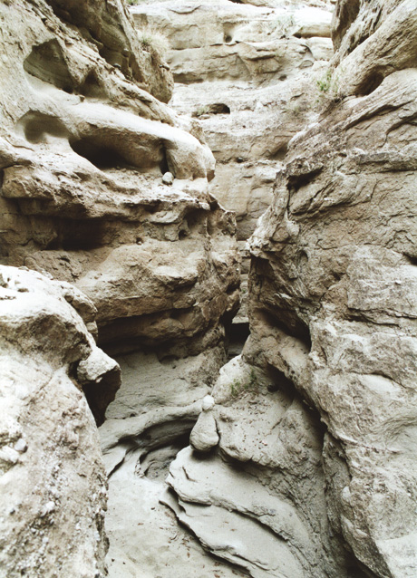 A photograph of canyons in California’s Anza Borrego Desert State Park. These rock patterns are evidence of California’s submarine past.