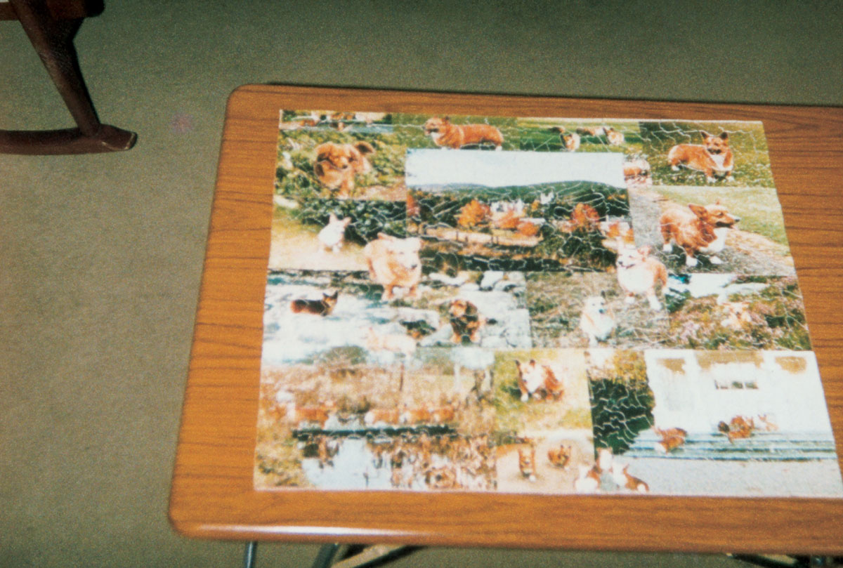 A photograph of the puzzle depicting Queen Elizabeth's corgis.