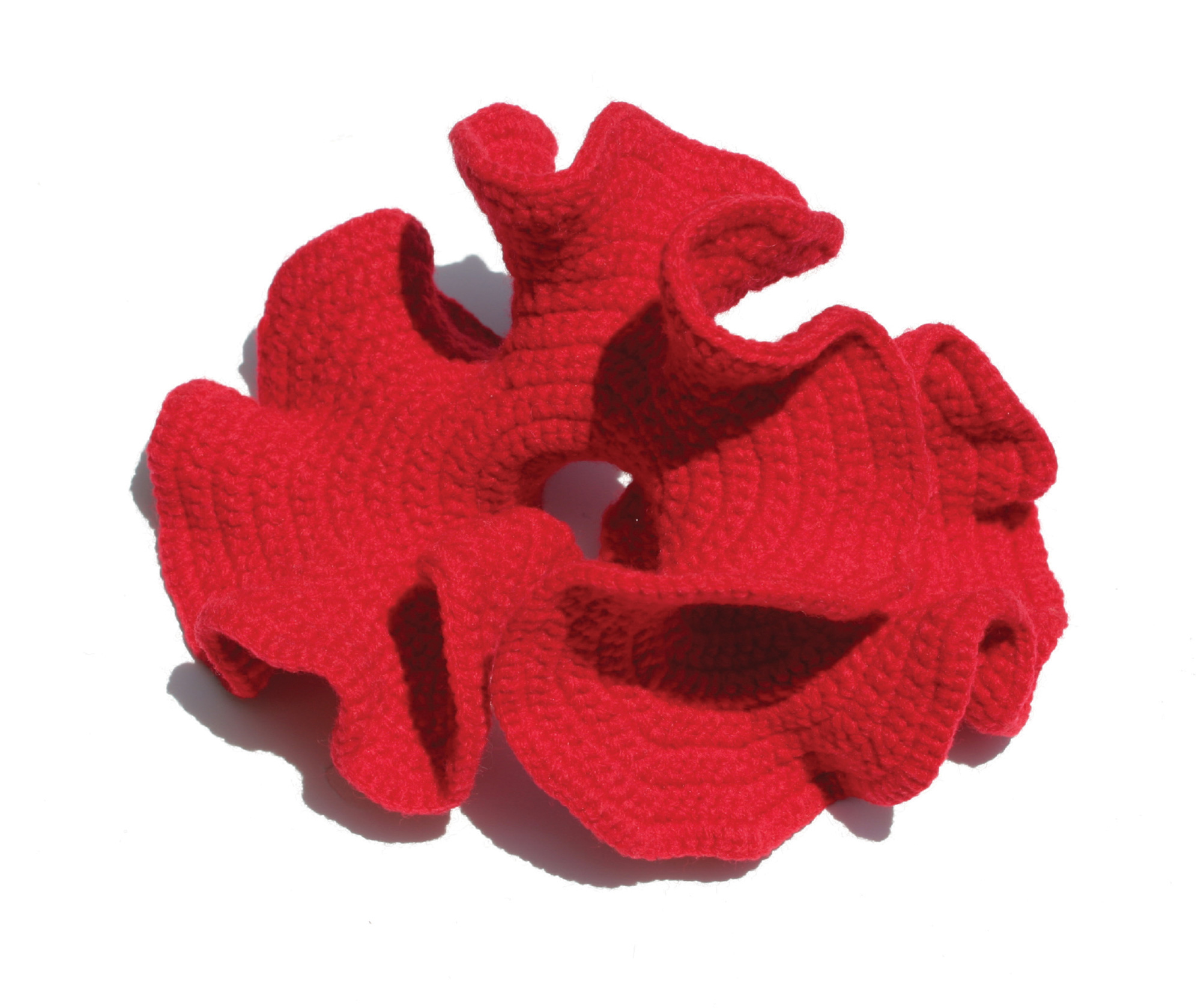 A hyperbolic form crocheted by Daina Taimina.
