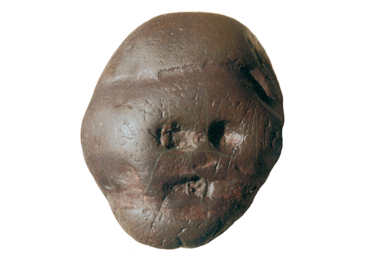 A photograph of a ferrous pebble of reddish color found in 1925 at Makapansgat, South Africa.