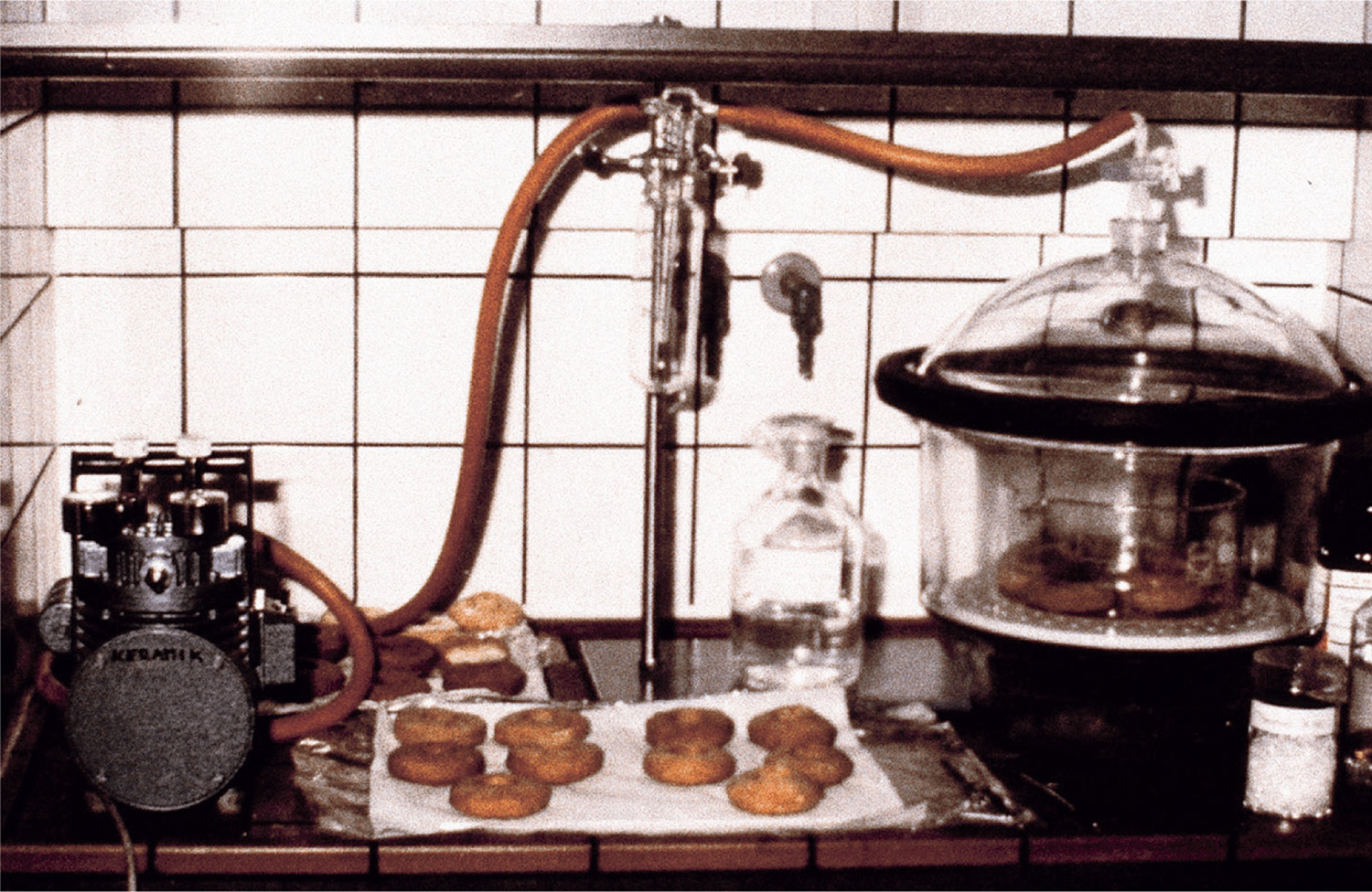 A photograph of Robert Gober’s doughnuts undergoing conservation at Scheidemann's studio.