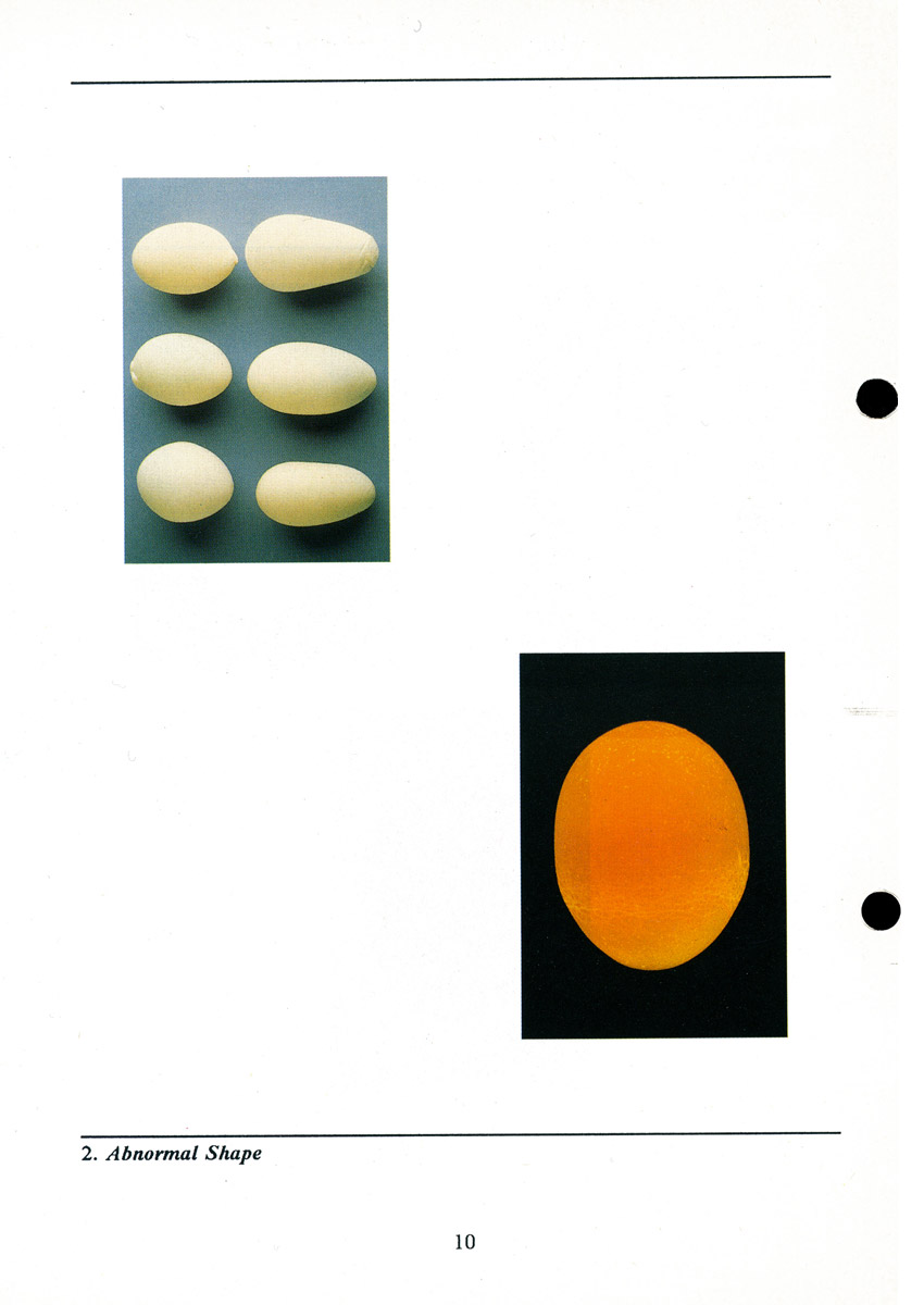 Examples of abnormally shaped eggs.