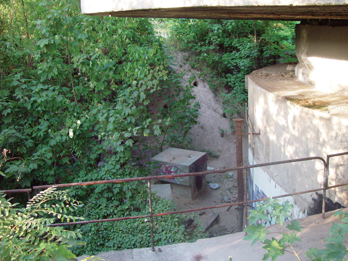 A photograph of a ravine and an overgrown concrete structure.