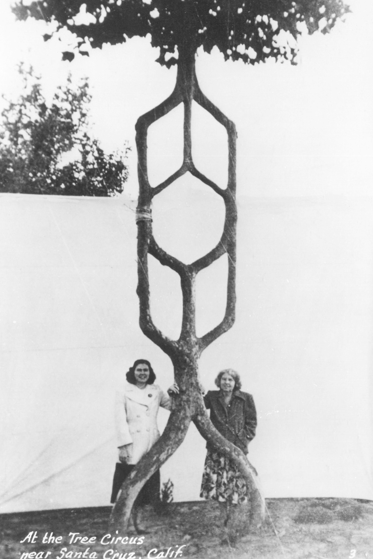 Wilma Erlandson and her mother beside an arborsculpture by Alex Erlandson. Courtesy Wilma Erlandson.