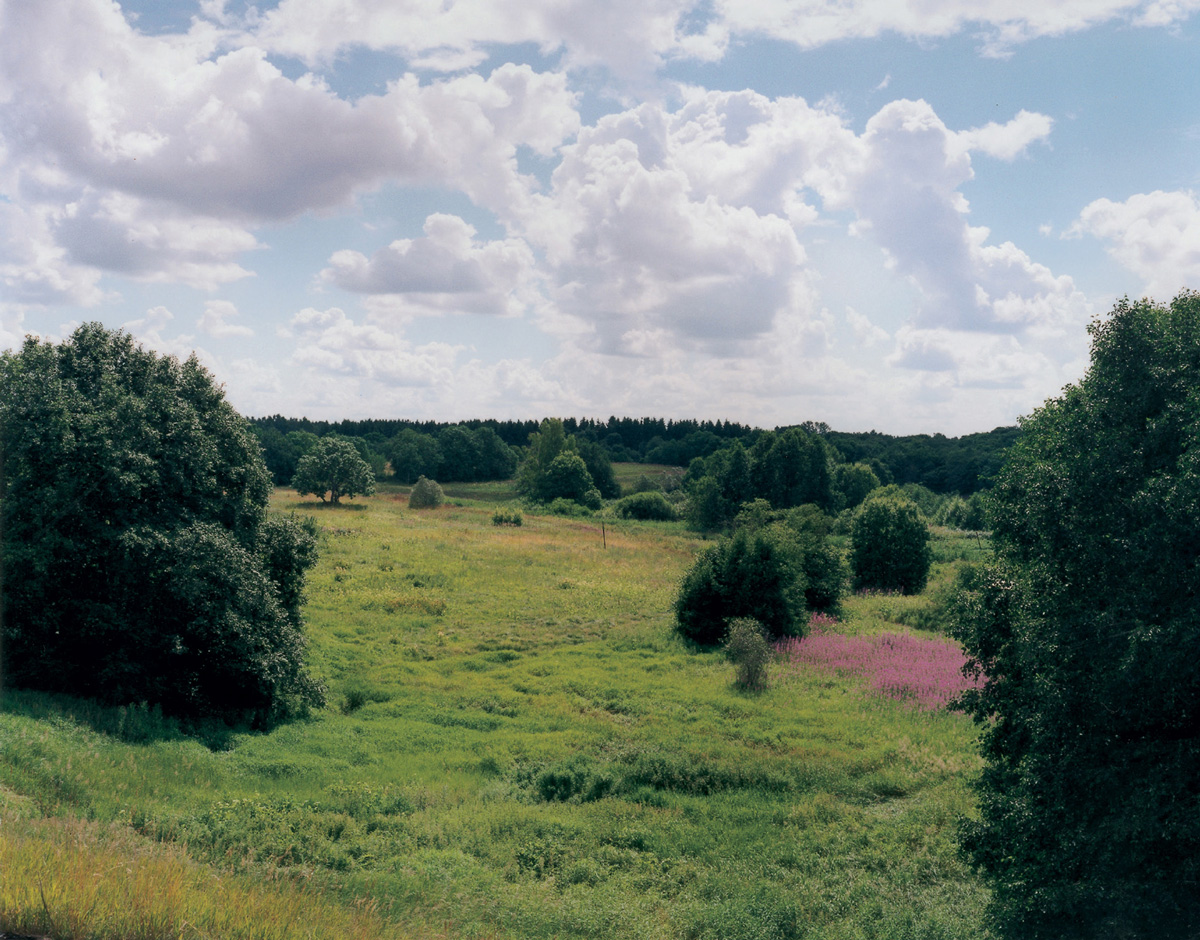 Artist Jeremy Millar’s photograph of a lush landscape from his series taken at abandoned power plants in Estonia.