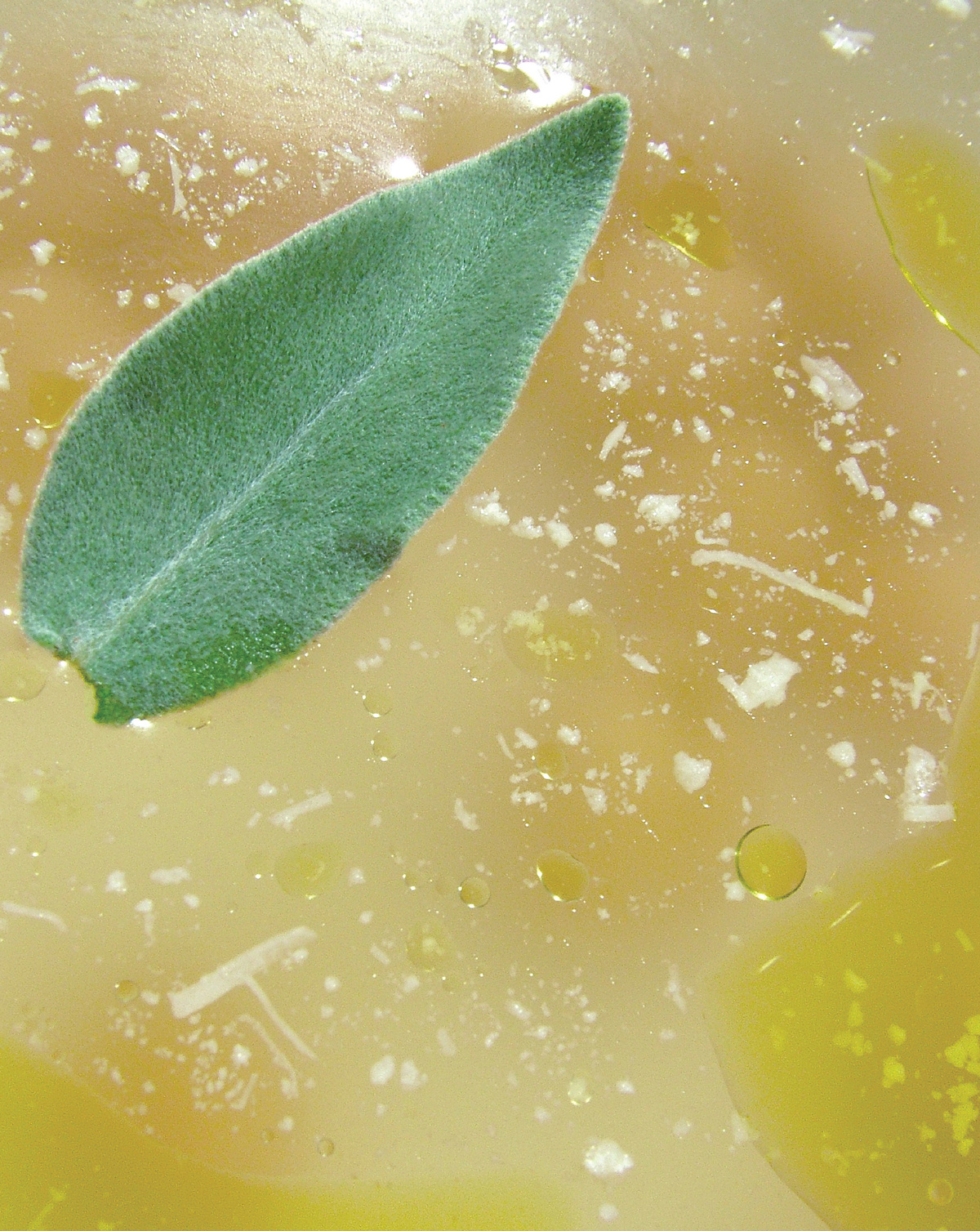 A detail photograph of a bowl of broth with a sage leaf floating on its surface.