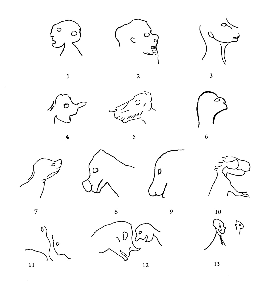 Drawings from André Leroi-Gourhan’s nineteen sixty eight book ”The Art of Prehistoric Man in Western Europe.” The drawings depict male profiles ranging from normal to completely animalized.
