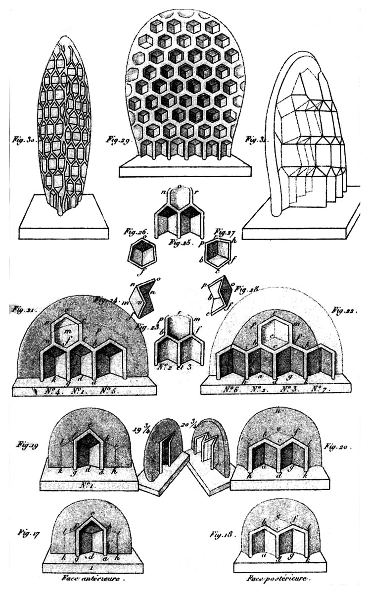 A page with a series of diagrams depicting the architecture of beehives, as portrayed in François Huber’s seminal eighteen fourteen book 