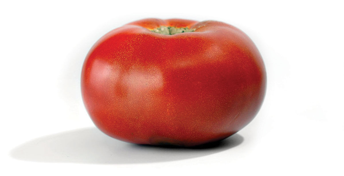 A photograph of a tomato.