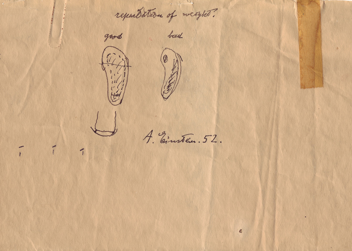 A letter dated Febuary 7, nineteen thirty six, to Albert Einstein from F. J. Murray, executive secretary of the Shoe Club. Murray explains that the Shoe Club,
