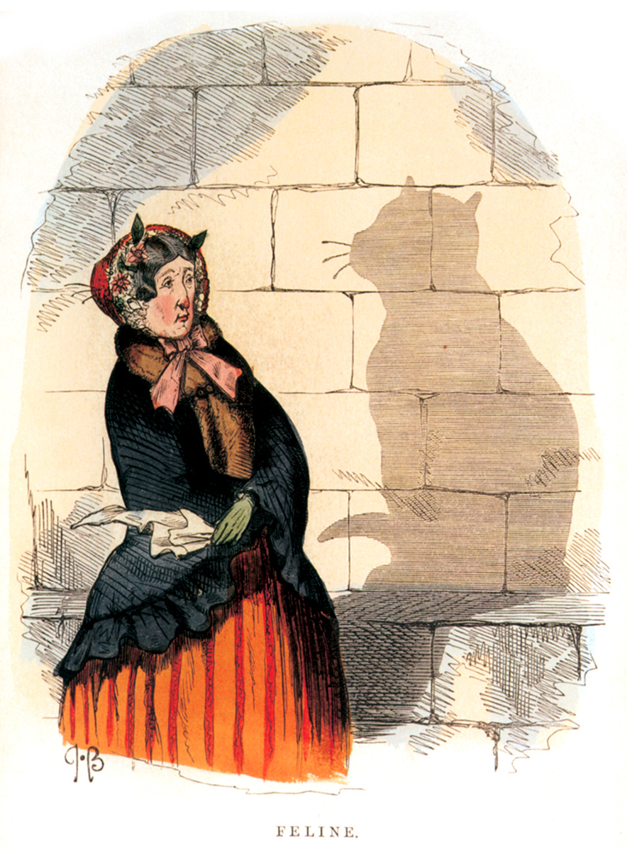 An illustration captioned “Feline” and showing a catlike shadow cast by a woman’s head and bonnet from Charles H. Bennett’s eighteen sixty book “Shadow and Substance.”