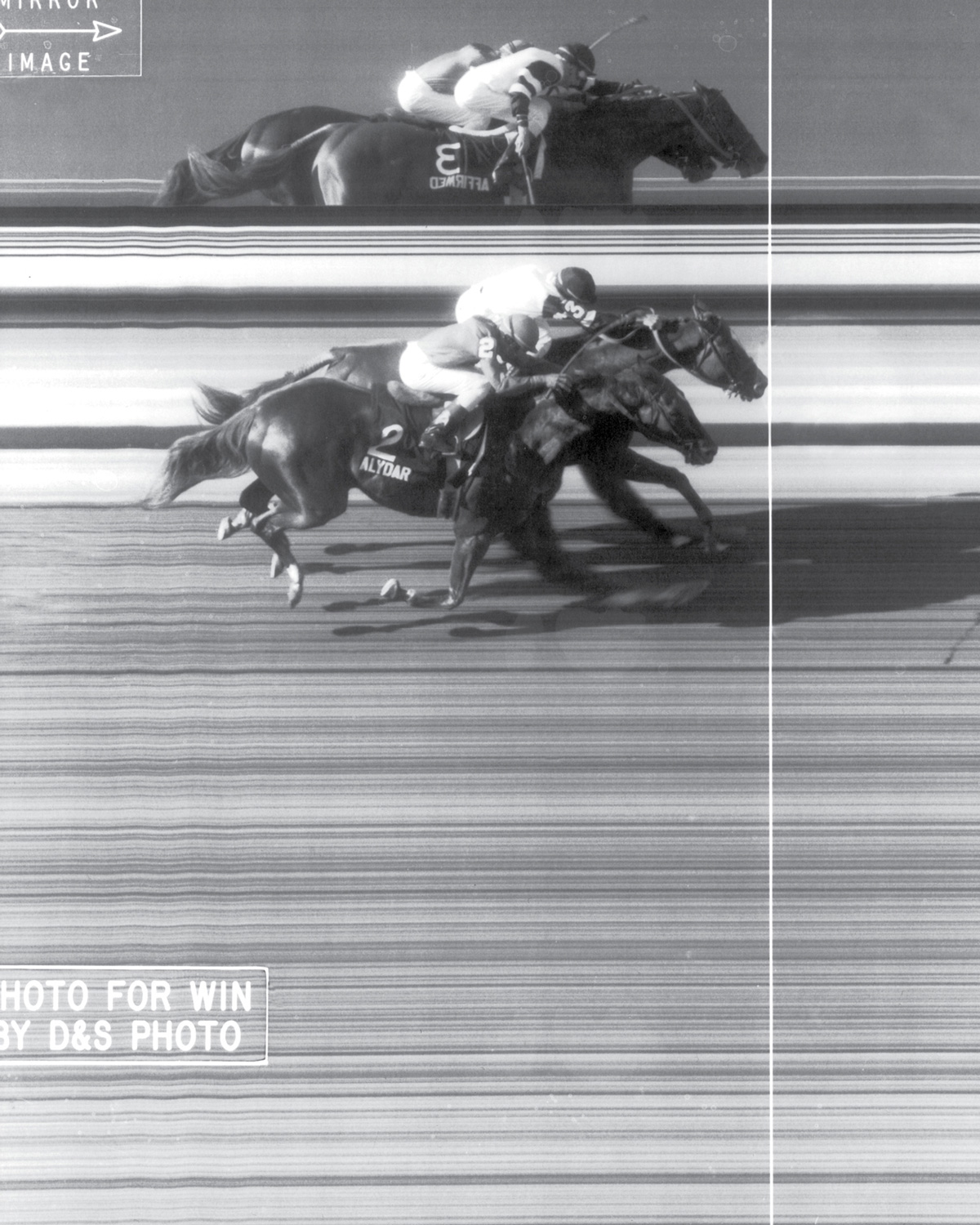 A photograph showing the tight finish between Alydar and Affirmed at the 110th Belmont Stakes, 10 June nineteen seventy eight. 