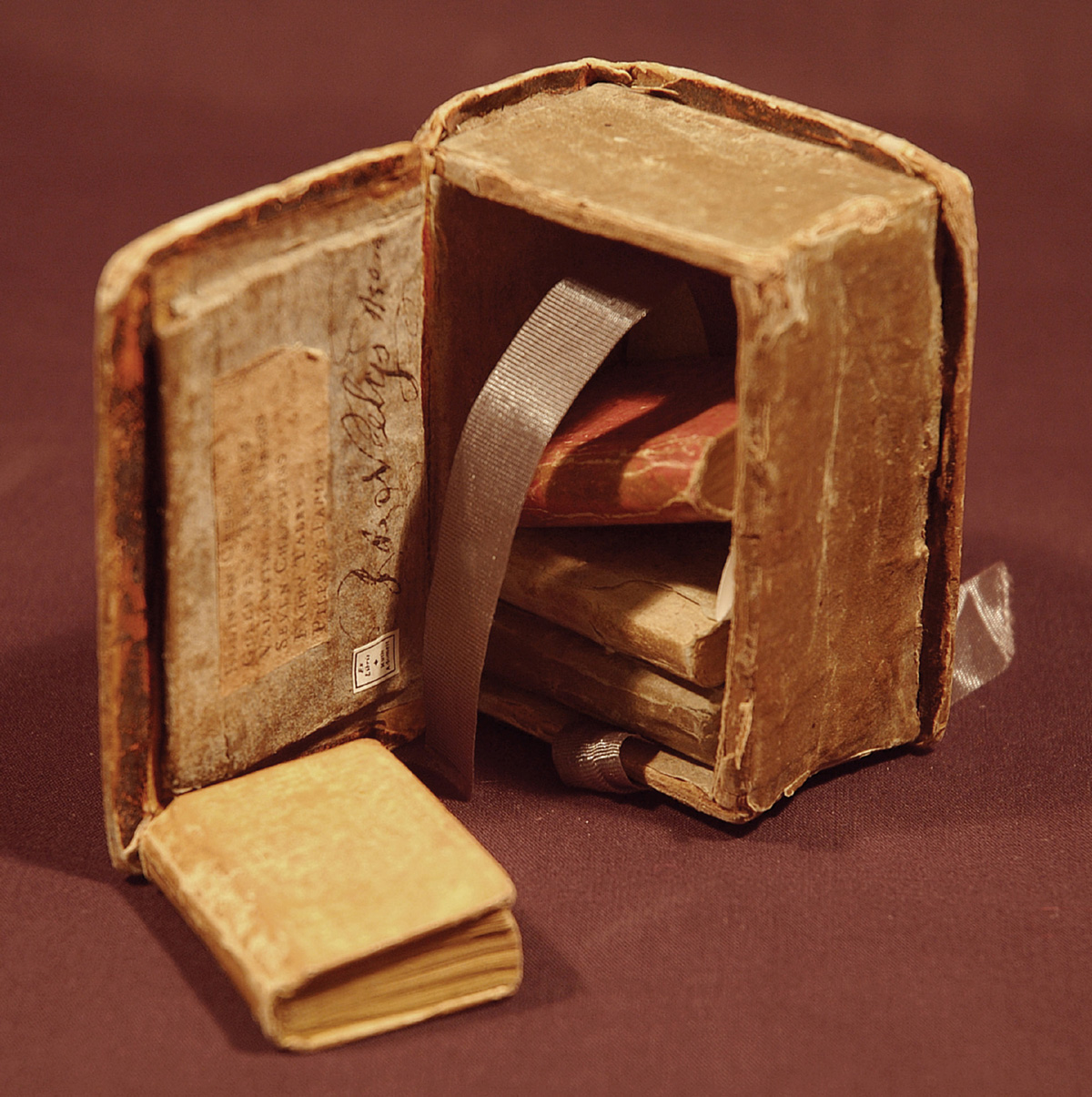 A small case containing a number of miniature books.