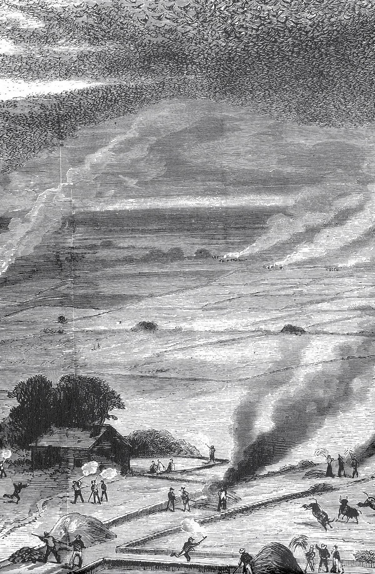 An eighteen seventy four lithograph depicting a locust swarm, made from a sketch by Howard Purcell.