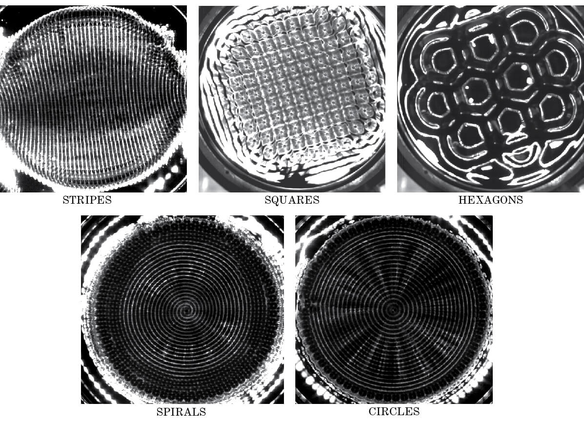 Photographs of five different types of Faraday waves in dishes of liquid.