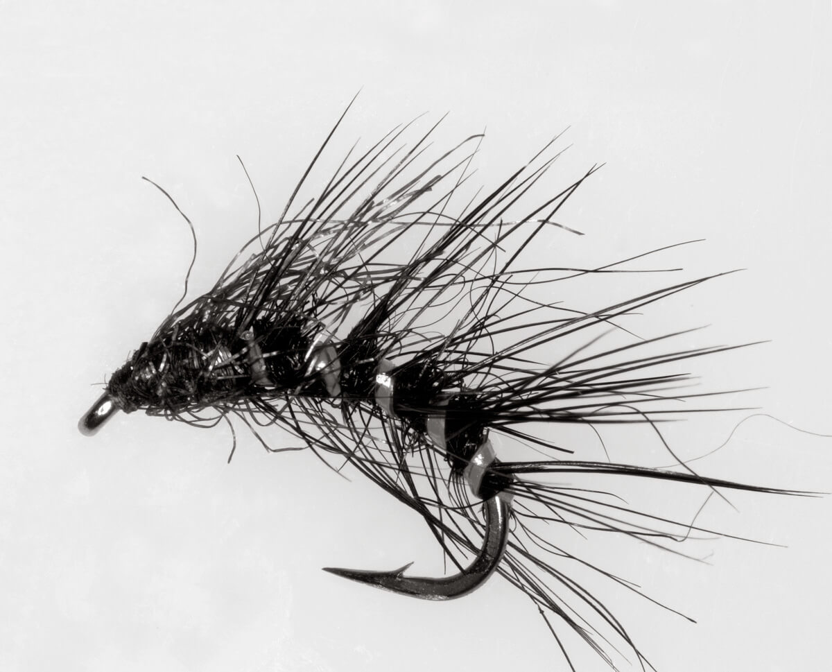 “Candy Stripe Catcher” nymph fly, tied by Colin Riach (aka Cap’n Fishy of Heriot’s FP Angling Club), 2007.