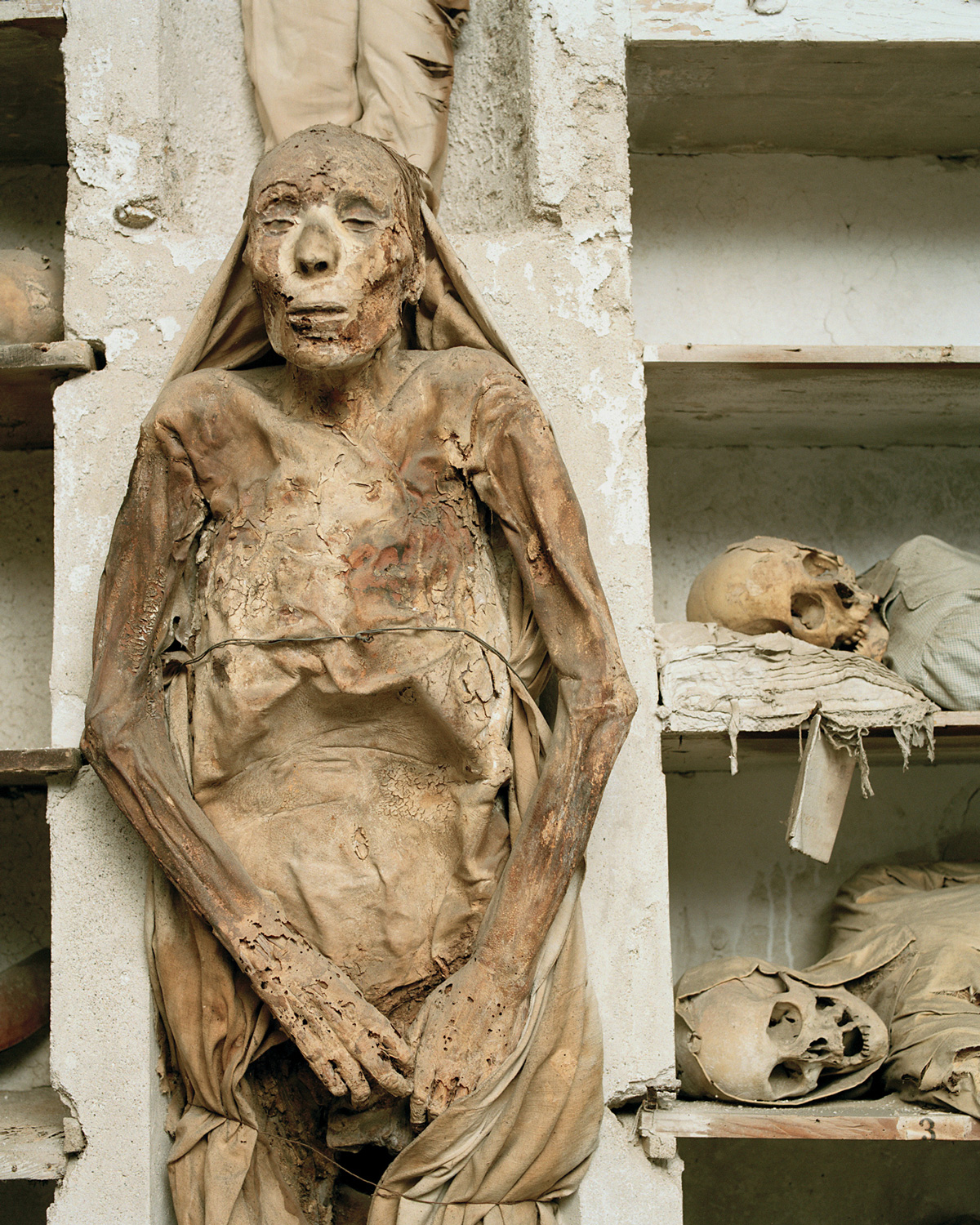 A photograph of corpses in the catacombs of Palermo.