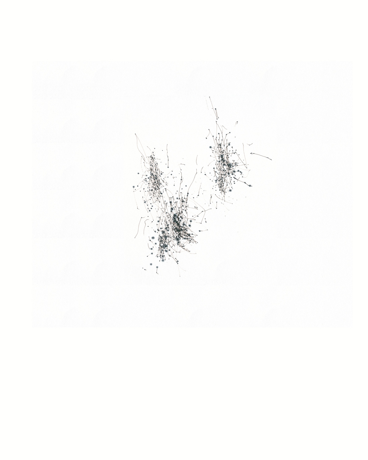 The drawing created by the tree; one half of the artwork titled