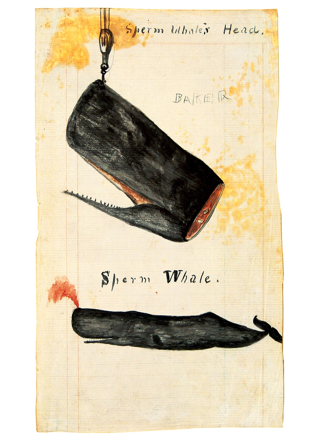 A drawing of a whale’s head being hoisted upward, from the journal of Rodolphus W. Dexter, kept aboard the bark 